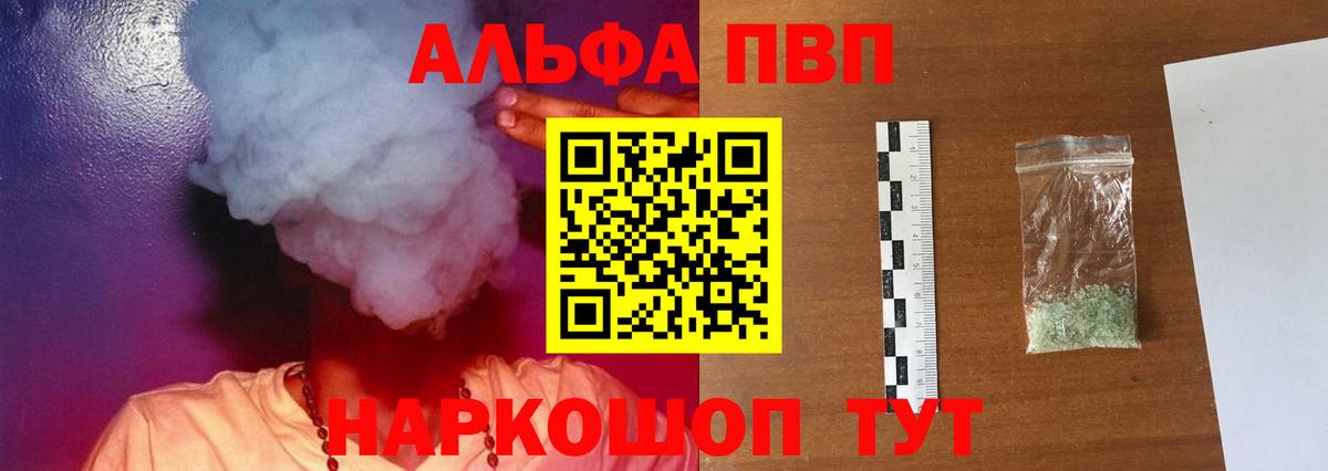 Alfa_PVP СК Гатчина