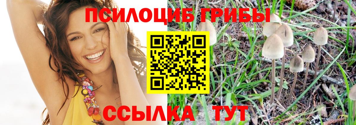 Гатчина  Псилоцибиновые грибы прущие грибы  Вход с VPN 
